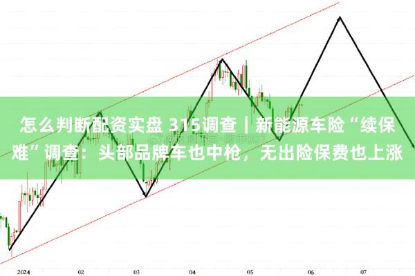 怎么判断配资实盘 315调查｜新能源车险“续保难”调查：头部品牌车也中枪，无出险保费也上涨