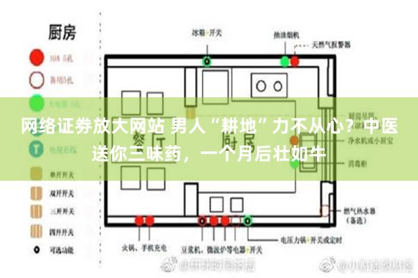 网络证劵放大网站 男人“耕地”力不从心？中医送你三味药，一个月后壮如牛