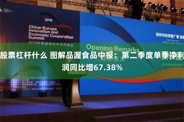 股票杠杆什么 图解品渥食品中报：第二季度单季净利润同比增67.38%