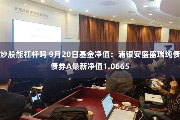 炒股能杠杆吗 9月20日基金净值：浦银安盛盛瑞纯债债券A最新净值1.0665