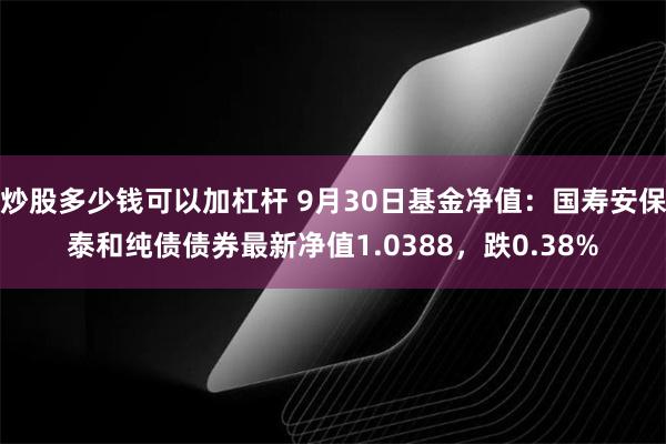 炒股多少钱可以加杠杆 9月30日基金净值：国寿安保泰和纯债债券最新净值1.0388，跌0.38%