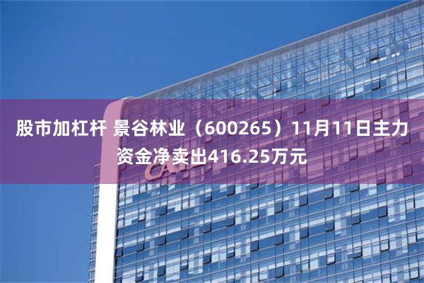 股市加杠杆 景谷林业（600265）11月11日主力资金净卖出416.25万元