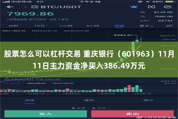 股票怎么可以杠杆交易 重庆银行（601963）11月11日主力资金净买入386.49万元