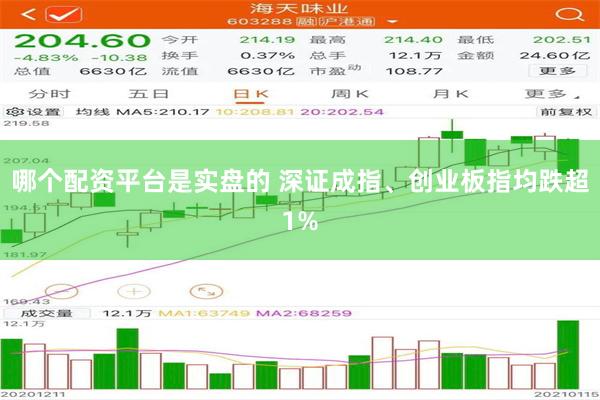 哪个配资平台是实盘的 深证成指、创业板指均跌超1%