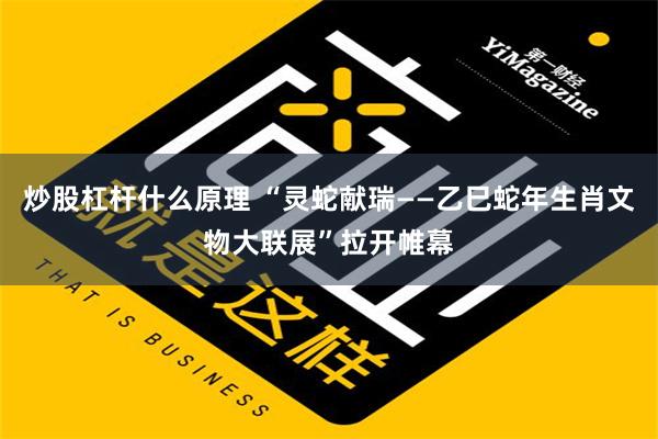 炒股杠杆什么原理 “灵蛇献瑞——乙巳蛇年生肖文物大联展”拉开帷幕