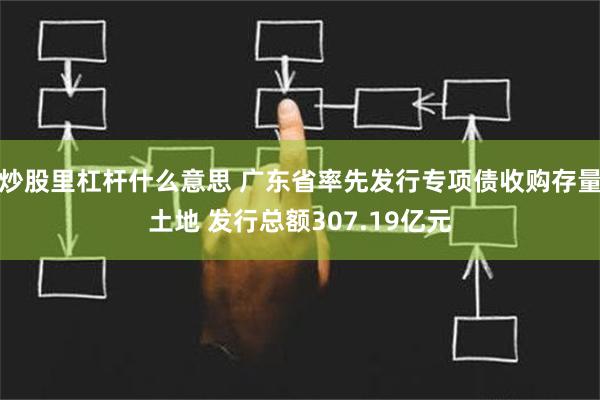 炒股里杠杆什么意思 广东省率先发行专项债收购存量土地 发行总额307.19亿元